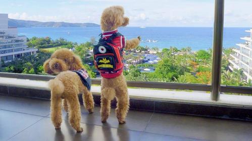 20221119195253_58141 20221119195253_58141