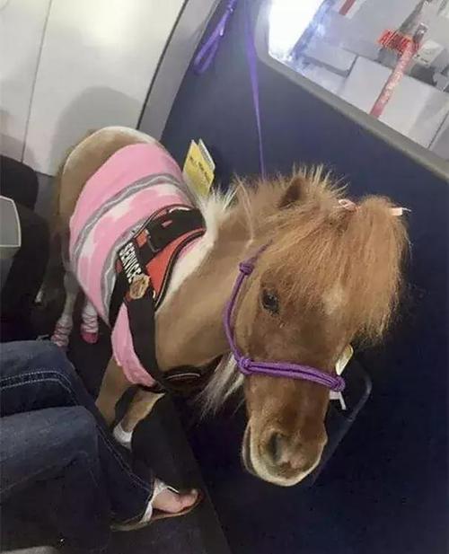 20221119195253_68944 20221119195253_68944