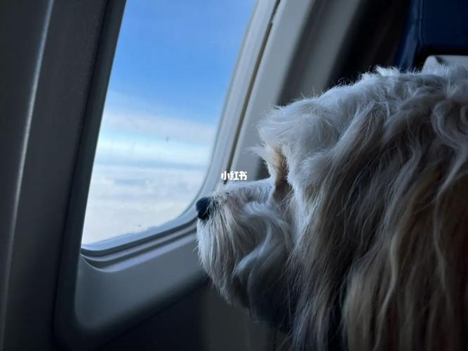 20221119195253_89420 20221119195253_89420