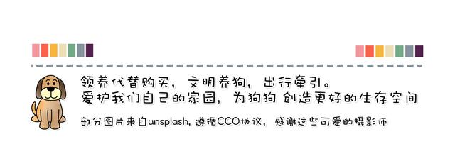 20221119200615_89754