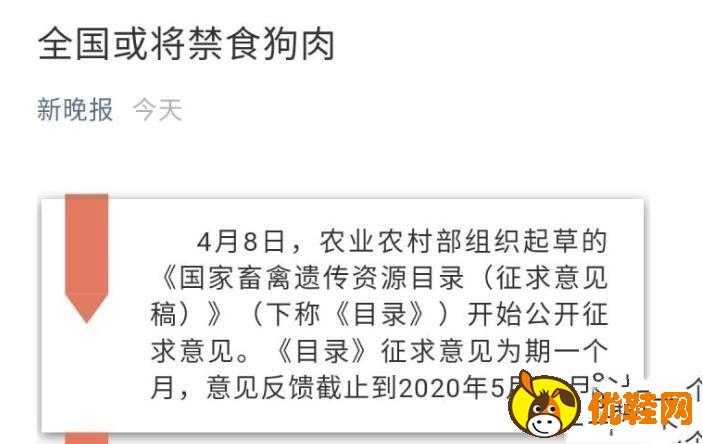 立法禁止吃狗肉(两会立法禁止吃狗肉)-警犬训练器材厂家 _警犬训练用品_工作犬训练用品-南京开久警犬装备
