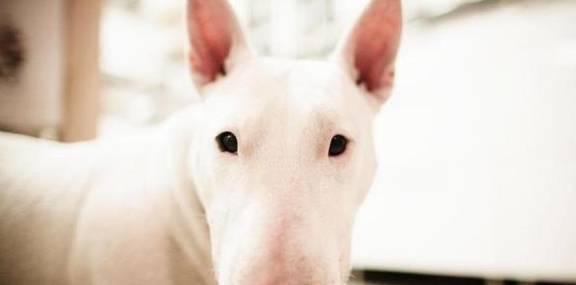 20221120093448_59350 20221120093448_59350