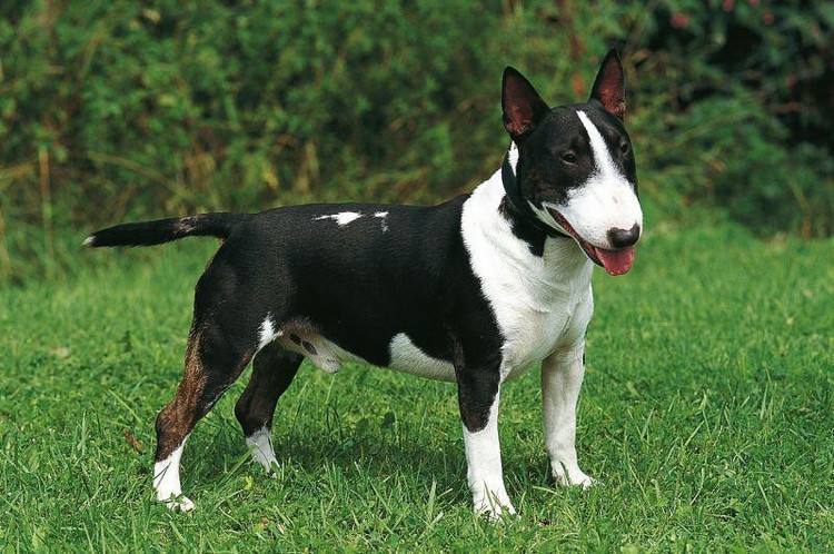 20221120093449_58507 20221120093449_58507