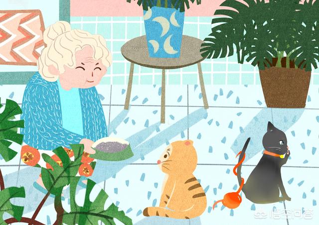 猫和狗生下的宝宝，土猫和蓝猫生下的宝宝-警犬训练器材厂家 _警犬训练用品_工作犬训练用品-南京开久警犬装备