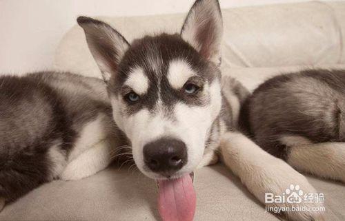 20221120113819_31155