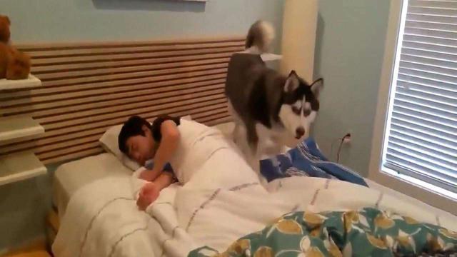 20221120113820_67888