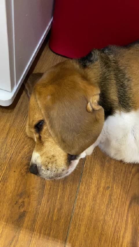 20221120120233_67040