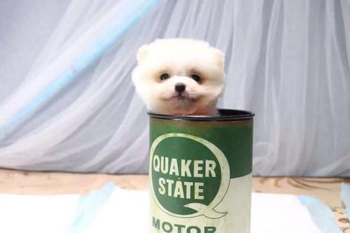 20221120121224_88028