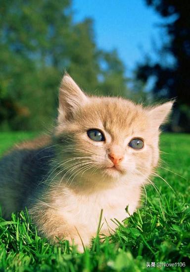 20221120121910_92715 20221120121910_92715