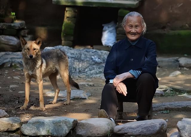 20221120125245_55149