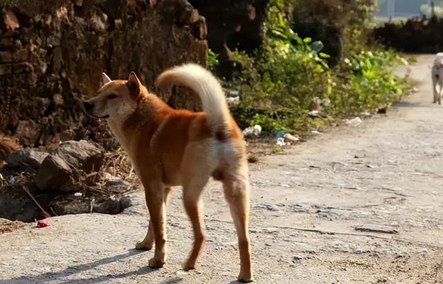 20221120125246_99226