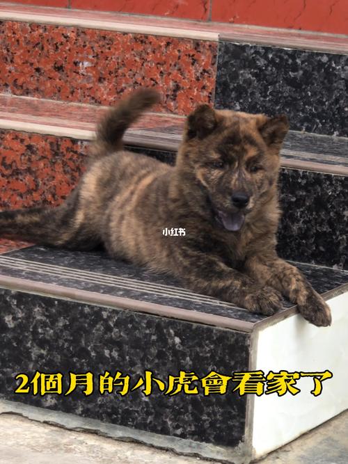 20221120131539_75614