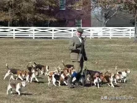 20221120134842_28114