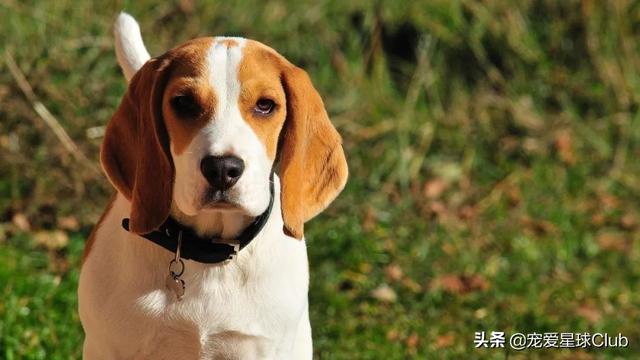 20221120134842_81956