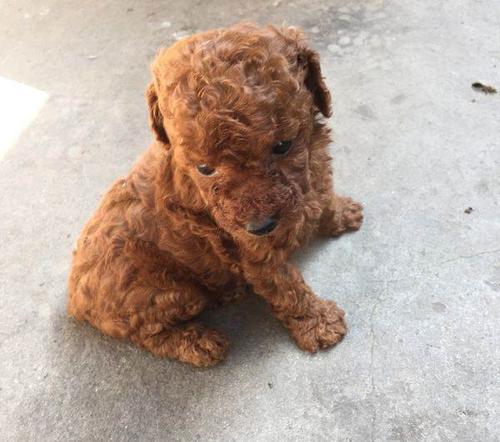 20221120155754_60503