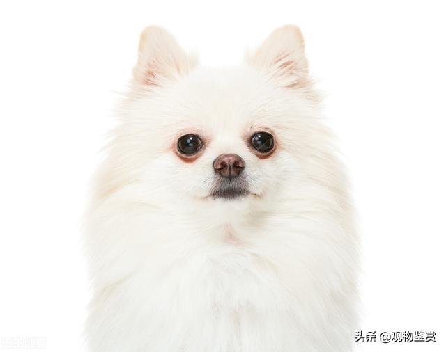 20221120165711_21970