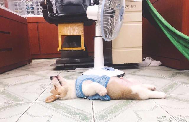 20221120172759_50882