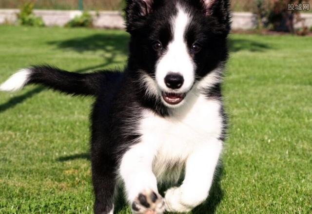 20221120180948_26650