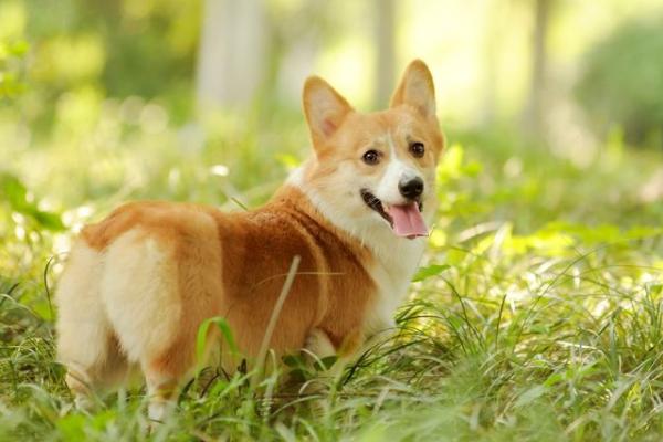 20221120183100_55746