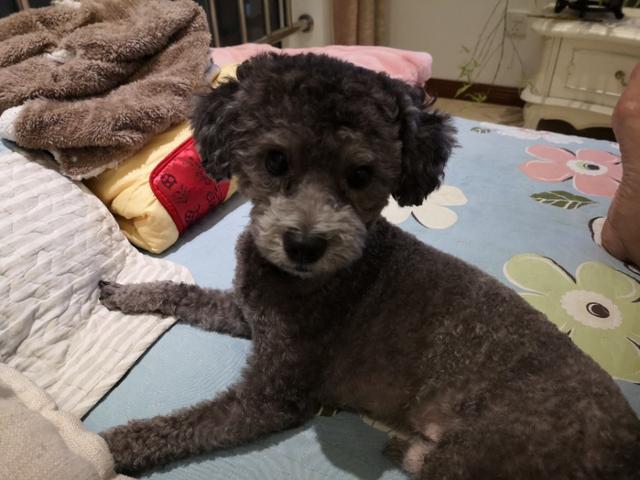 20221120185639_64087