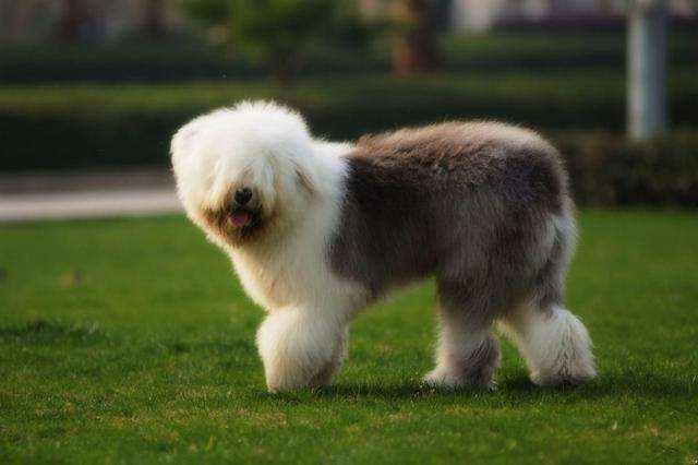 20221120191910_47146