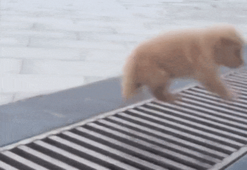 20221120195117_58447