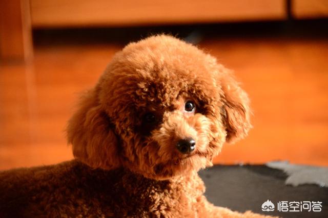 20221120195320_69689 20221120195320_69689