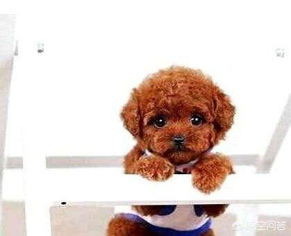 20221120195321_69346 20221120195321_69346