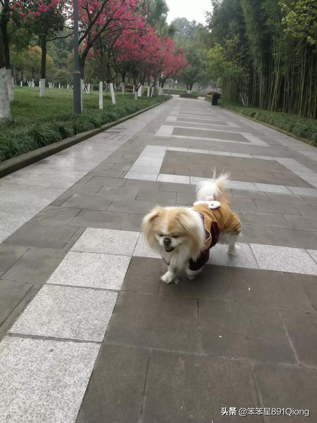 20221120201423_90244