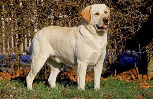 20221120201519_16633