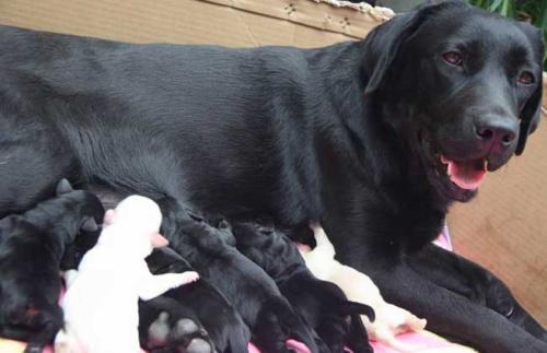 20221120201519_28550