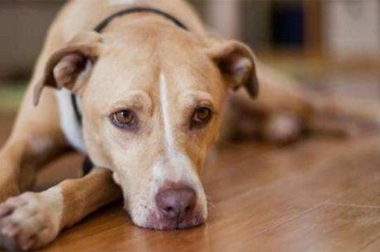 20221120203516_72824