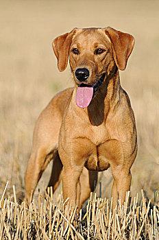 20221120203951_88496 20221120203951_88496