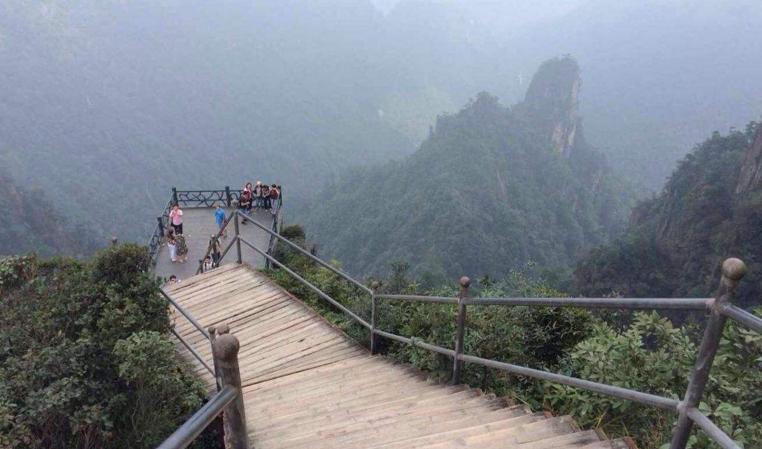 蟒山森林公园能带狗吗(滨江森林公园能带狗吗)-警犬训练器材厂家 _警犬训练用品_工作犬训练用品-南京开久警犬装备