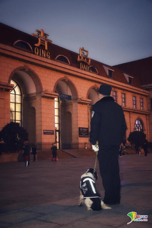 警犬卡尔(警犬卡尔)-警犬训练器材厂家 _警犬训练用品_工作犬训练用品-南京开久警犬装备