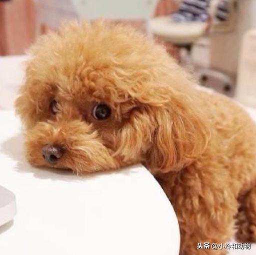 20221121100038_35490 20221121100038_35490