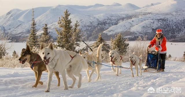 20221121100038_43893 20221121100038_43893