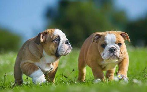 20221121103506_12393