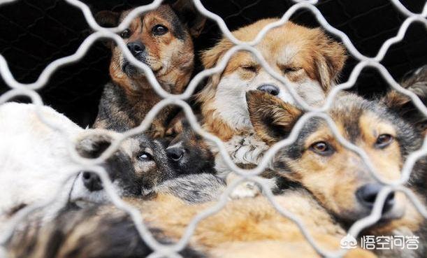 20221121105146_10677