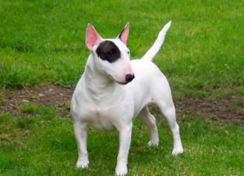 20221121124028_12857 20221121124028_12857