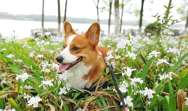 20221121124809_35342