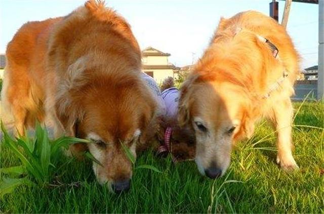 20221121124809_80120