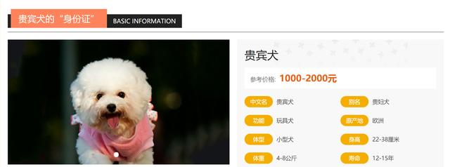 20221121134341_28494