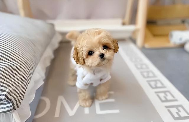 20221121152114_35841 20221121152114_35841