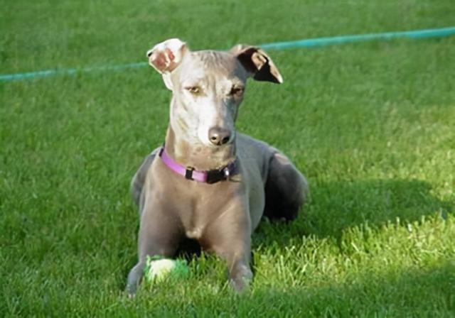 20221121152747_94377 20221121152747_94377