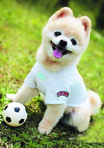 20221121160938_32503 20221121160938_32503