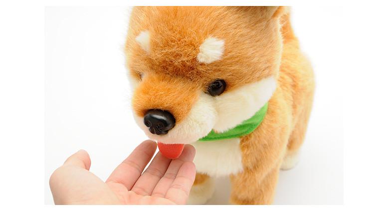 20221121160938_92171 20221121160938_92171