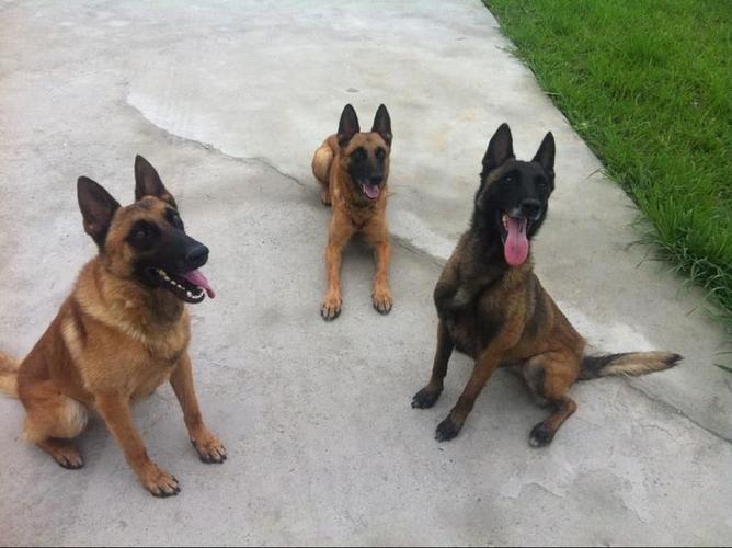 20221121162948_75654