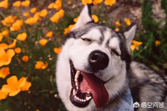 20221121165238_63957