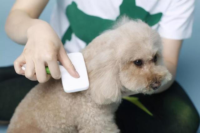 20221121181028_62364 20221121181028_62364